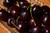 Black Tartarian Cherry (Prunus avium 'Black Tartarian' 0403.8) #10 