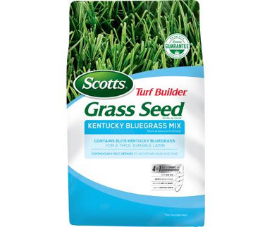 SCOTTS TURF BUILDER KENTUCKY BLUEGRASS MIX GRASS SEED (3-1-0) 3 LB