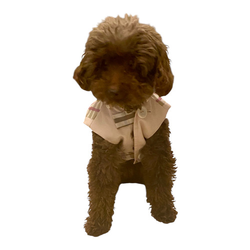 Pink and Neutral tartan trench vest