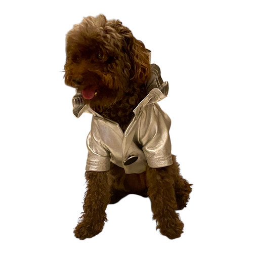 Silver metallic Ruffle Coat