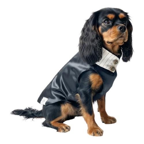 Black and Ivory satin vest