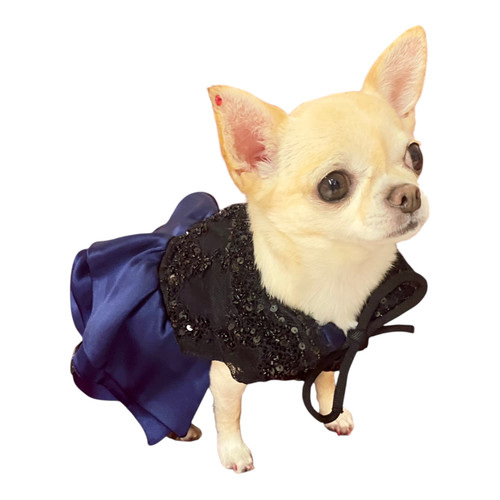 Navy satin & black sequin lace ruffle dress