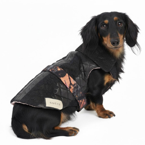 Black lace detail puffer vest with metallic floral detail