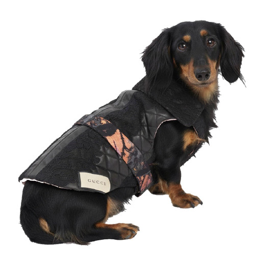 Black lace detail puffer vest with metallic floral detail