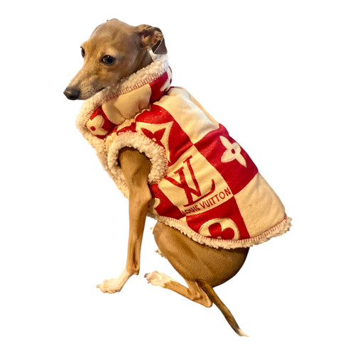 Red & Ivory Sweater Coat