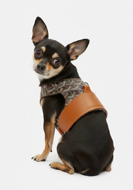 Tan & Brown Print Harness