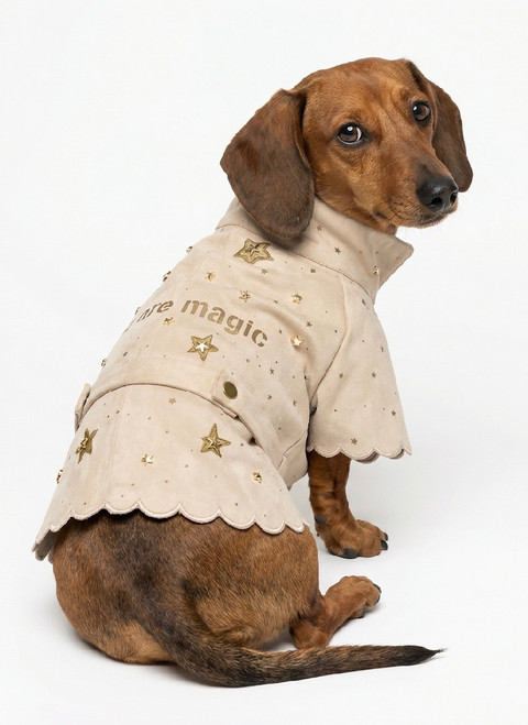 Sand tone suede coat with gold detail