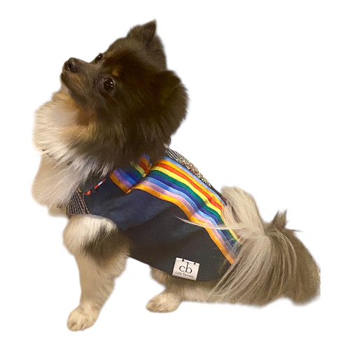 Rainbow Jean Jacket Vest Style 1