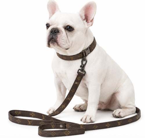Leather Monogram leash