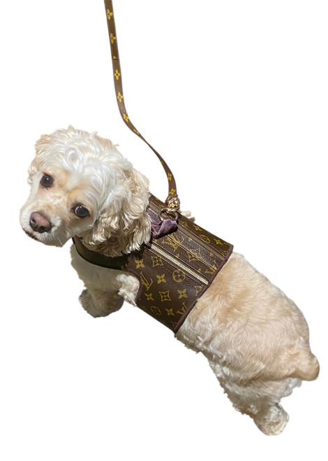 Leather Monogram Harness