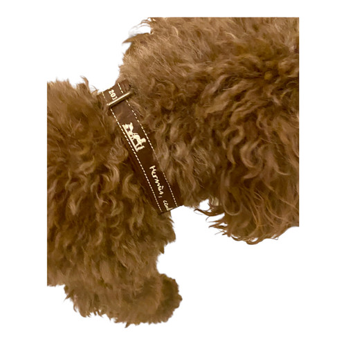 Ribbon and leather collar