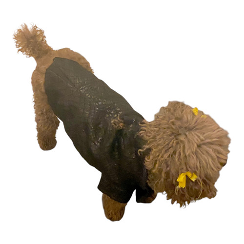 Black snakeskin pattern jacket vest