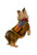 Silk reptile pattern rainbow vest shirt - Yellow Collar