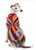 Rainbow stripe  silk vest dress