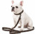 Leather Monogram leash