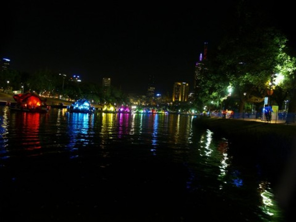 Fish on the Yarra
