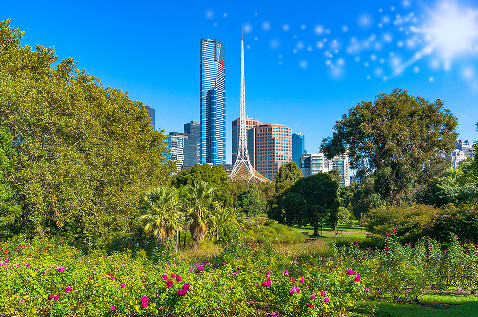 Leafy Greens in Melbourne