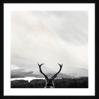 Deer Views | Black frame
