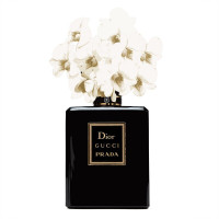 Parfume Dior, Gucci, Prada