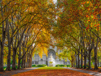 Melbourne Autumn | by Nick Psomiadis