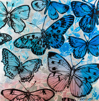 Tropical Butterflies by David Bromley