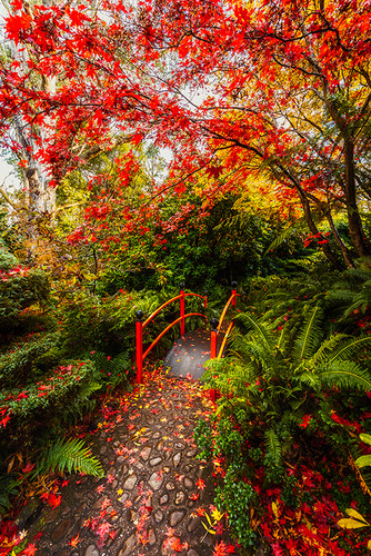 Photography | Mount Macedon  | Nick Psomiadis