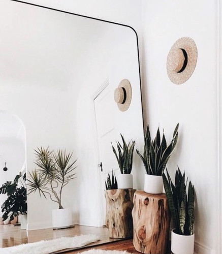 The Flynn Mirror