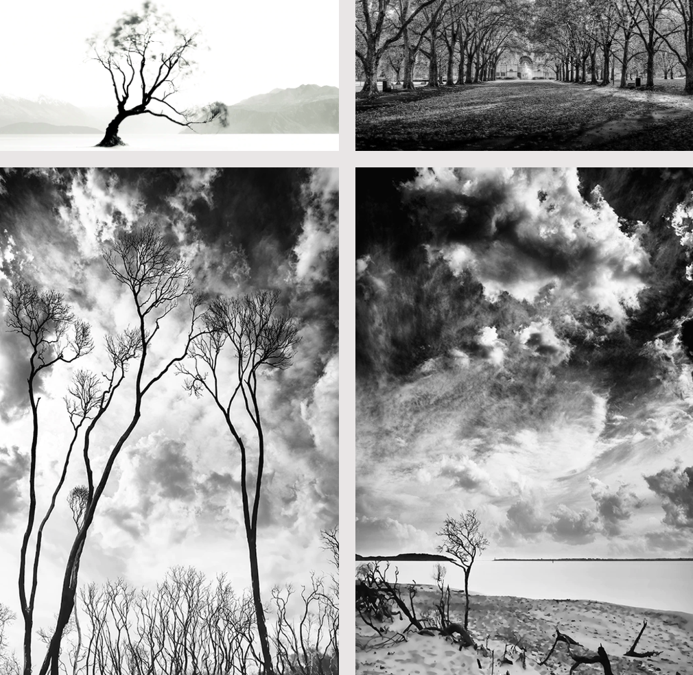 Helping out the Aussie Bush - Print Decor - MIRRORS.ART.FRAMING