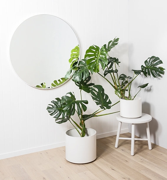 white-mirror-in-situ.jpg