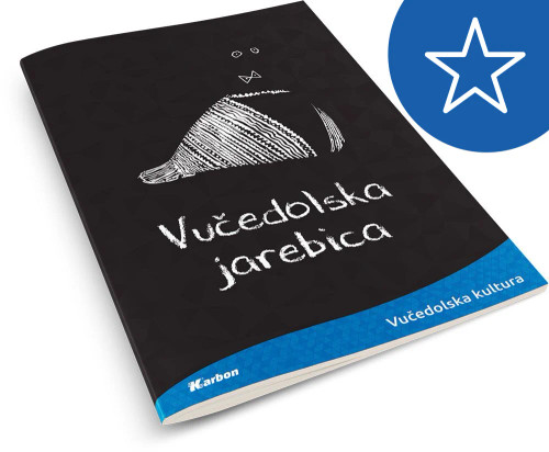 Bilježnica A4/D povijest KARBON s memom 42L Historia est...