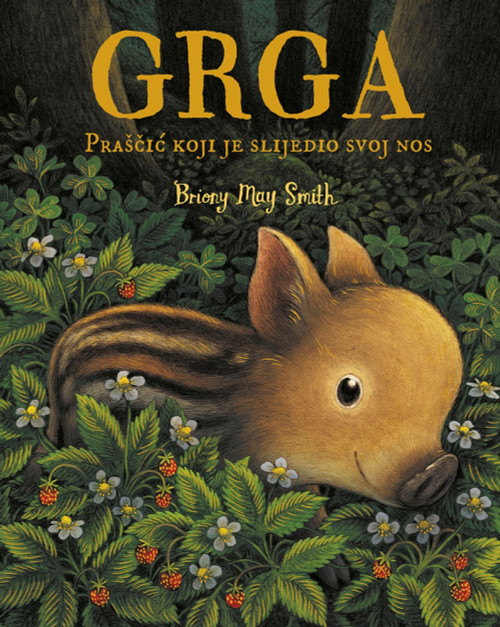 Slika naslovnice Grga - Prašić koji je slijedio svoj nos