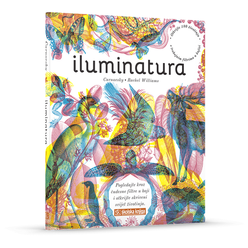 Iluminatura
