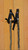 Sapling Ski Poles 