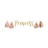 Princess Glitter Banner 