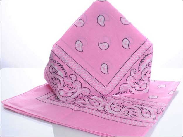 A Pink Bandana