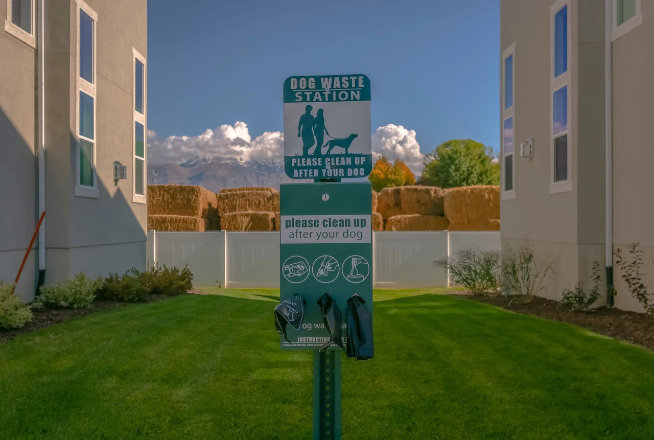 Dog waste station on a lawn between residential buildings