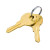 ESD011 Set of 2 Dispenser Keys