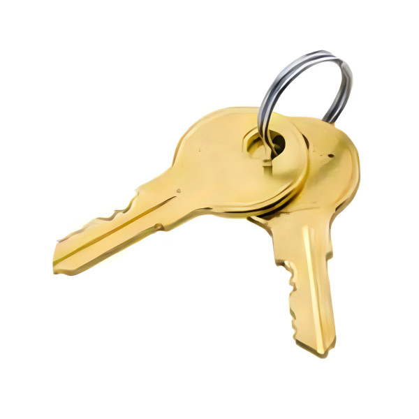 ESD011 Set of 2 Dispenser Keys