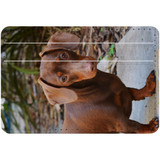 1 or 2 Card Slot Wallet Adhesive AddOn, Paper Leather, Tan Daschund | AddOns | iCoverLover.com.au