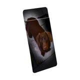 1 or 2 Card Slot Wallet Adhesive AddOn, Paper Leather, Portrait Of Tan Daschund | AddOns | iCoverLover.com.au