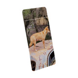 1 or 2 Card Slot Wallet Adhesive AddOn, Paper Leather, Wild Dingo | AddOns | iCoverLover.com.au