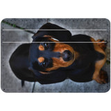 1 or 2 Card Slot Wallet Adhesive AddOn, Paper Leather, Dachshund Portrait | AddOns | iCoverLover.com.au