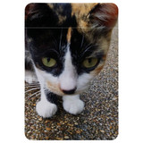 1 or 2 Card Slot Wallet Adhesive AddOn, Paper Leather, Cat Closeup | AddOns | iCoverLover.com.au