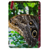 1 or 2 Card Slot Wallet Adhesive AddOn, Paper Leather, Butterflies Eyes | AddOns | iCoverLover.com.au