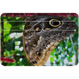 1 or 2 Card Slot Wallet Adhesive AddOn, Paper Leather, Butterflies Eyes | AddOns | iCoverLover.com.au