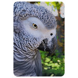 1 or 2 Card Slot Wallet Adhesive AddOn, Paper Leather, African Grey | AddOns | iCoverLover.com.au