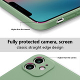 For iPhone 15 Pro Max, 15 Pro, 15 Plus, 15 Case, Silicone Soft Cover, Wrist Strap, Deep Green | iCoverLover Australia