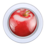 MagSafe Compatible Finger Grip Case for iPhone - Multicolour | iCoverLover