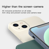 For iPhone 13 Pro Max, 13, 13 Pro, 13 mini Case, Liquid Silicone Flannel Lined Back Cover, Black | Plastic Cases | iCoverLover.com.au