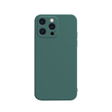 For iPhone 13 Pro Max, 13, 13 Pro, 13 mini Case, Liquid Silicone Flannel Lined Back Cover, Green | Plastic Cases | iCoverLover.com.au